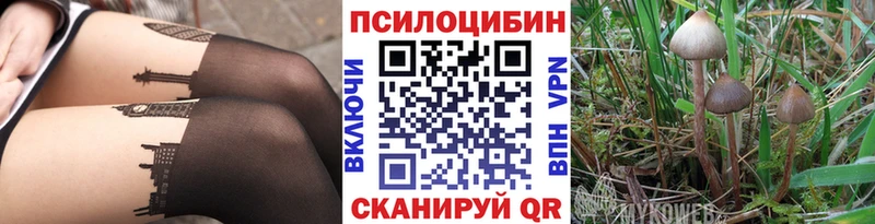 Купить  Нижний Ломов  Галлюциногенные грибы прущие грибы 